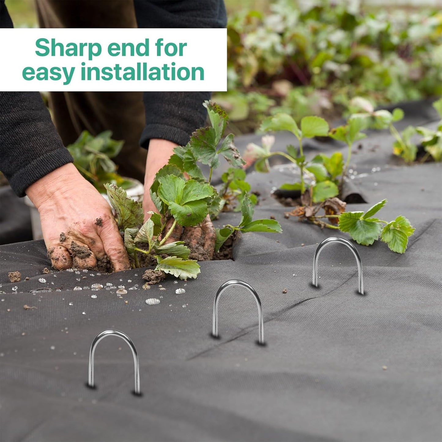 4 Inches Landscape Staples,Galvanized Garden Stakes Yard Stakes Garden Staples Prefect for Weed Barrier Fabric,11 Gauge Landscape pins for Tent,Balloons, Irrigation Tube. (U4 Inch 80 Pack)