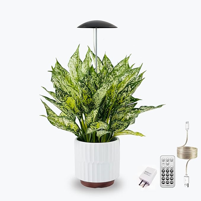 LED Grow Lights for Indoor Plants, Smart USB Small Full Spectrum Plant Lights with Remote, Height Adjustable, Auto On/Off Timer, Ideal for Home Decoration, Black