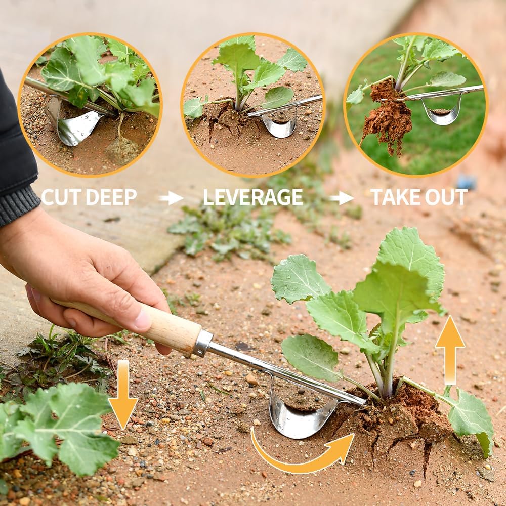 Hand Weeder Tool, Stainless Steel 2 Pcs Weeder Tool for Garden and Farm,Weeding Tool for Gardening,Garden Weeder, Weed Pulling Tool, Weed Puller Tool(Wooden Handle)…