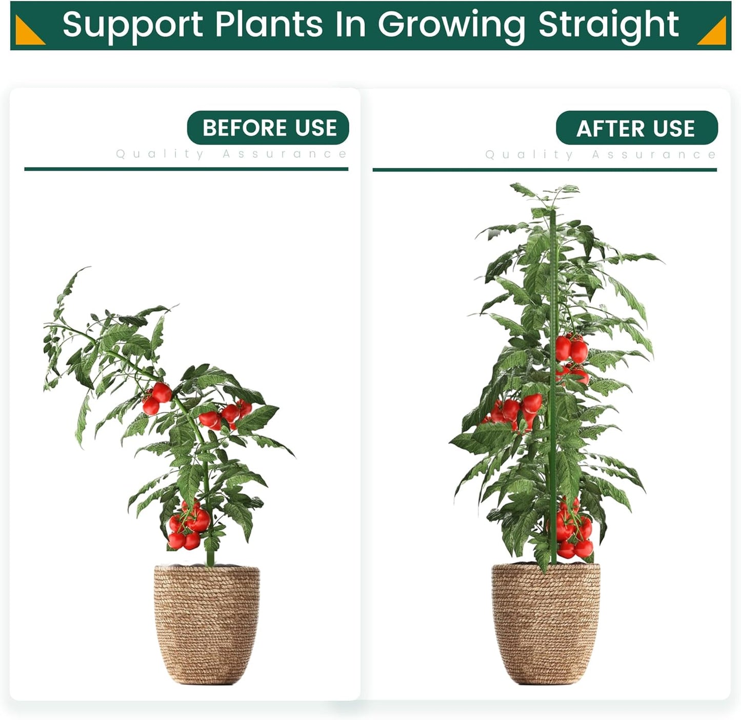 48 Inch 4 Ft Plant Support Garden Stakes 50 PCS, Sturdy Steel Plastic Coated Sticks for Outdoor Growing Climbing, Tomato, Trees, Cucumber, Beans