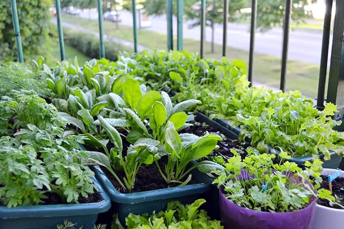 Super Absorbent Polymer Helps Plant Growth and Plant Establishment (45 Pounds)