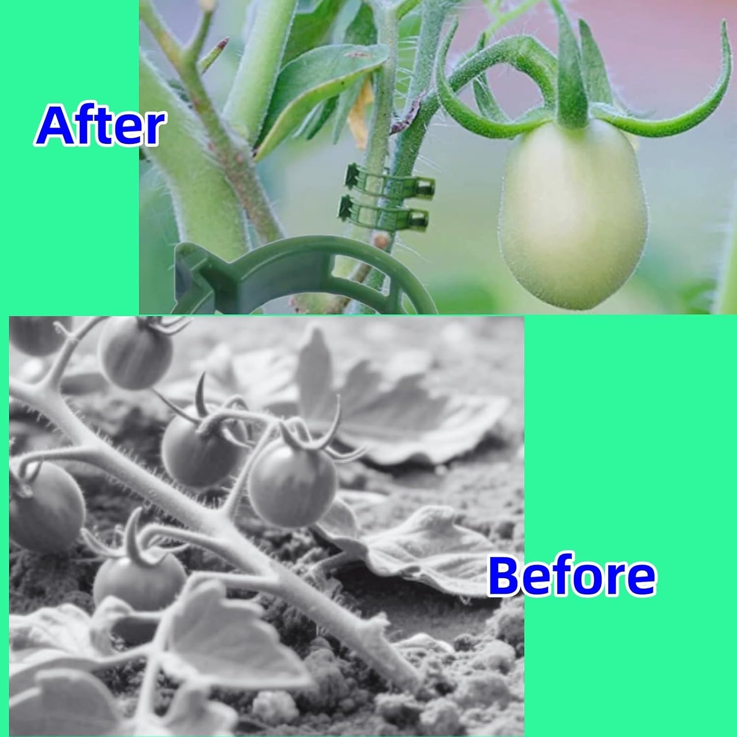 100Pcs Secured Plant Clips - Reusable Plastic Trellis Support for Tomato, Vine, Climbing Plants | Garden Clips for Vegetables & Outdoor Plants