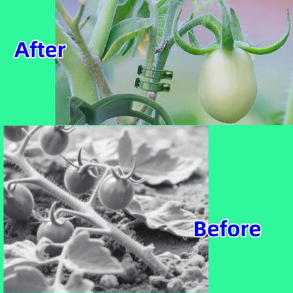 100Pcs Secured Plant Clips - Reusable Plastic Trellis Support for Tomato, Vine, Climbing Plants | Garden Clips for Vegetables & Outdoor Plants