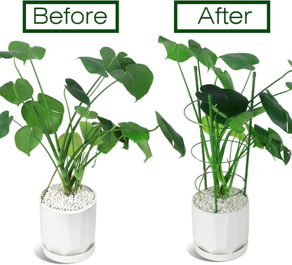 LEOBRO Tomato Cage, 2 PCS Plant Support Cage Rust Resistant Garden Ring Stake Plant Support for Tomato, Trellis, Climbing Plant, Flower, Small Plant Cages for Small Plants,17.7" H