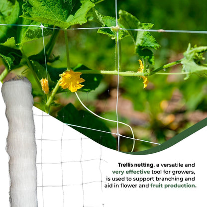 4-Feet by 4920-Feet Professional Grade Vegetable Support Trellis Netting Roll/Scrog Net Roll, (48" x 4920' / 1.22m x 1500m) (mesh 5.9"x6.7" / 15cm x 17cm)