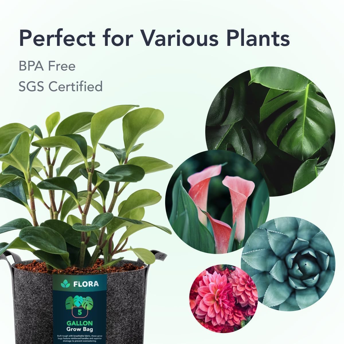 Flora 5-Gallon Thickened 300G Nonwoven Fabric Grow Bags for Plants, Heavy-Duty Pots with Handles 1-Pack
