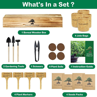 Bonsai Tree Kit, Complete Bonzai Tree Starter Kits with Tools, Unique DIY Gardening Gifts for Mom Women Men, Crafts Hobby Kits, Grow Bonsai Tree Live Indoor