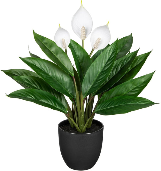 Fake Plants 20'' Faux Plants Artificial Potted Plants Indoor Realistic White Anthurium Artificial Flowers, Fake Potted Plants for Home Office Farmhouse Kitchen Bathroom Table Shelf Decor