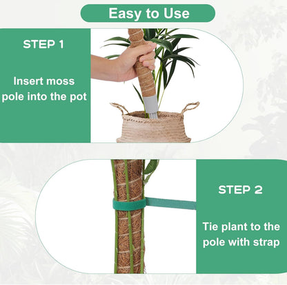 2 Pack Moss Pole, 40 Inch Monstera Plant Support, Moss Poles for Climbing Plants Indoor DIY, Coco Coir Plant Pole Moss Plant Stick Support Stake Kit for Potted Plants, Pothos, Philodendron