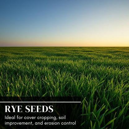 Rye Grass Seed - Fast Growing and Hardy Grass, Cover Crop, Food Plot. Grazing Pasture Seeds (5 Pounds)