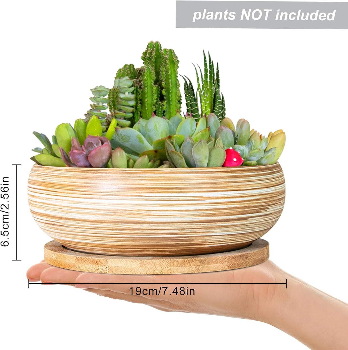 ARTKETTY Succulent Pots - 7.5 Inch Large Plant Pot with Bamboo Tray, Shallow Bonsai Pots with Drainage, Ceramic Planter for Indoor Plants, Cactus, Home Office Desk Decor