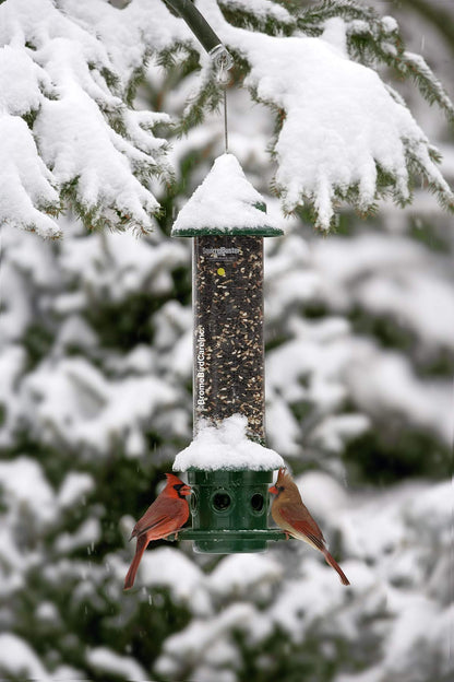 Squirrel Buster Plus Squirrel-proof Bird Feeder w/Cardinal Ring and 6 Feeding Ports, 5.1-pound Seed