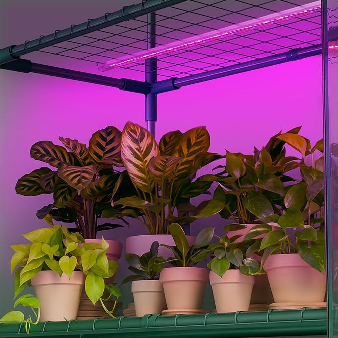 Indoor Greenhouse with Grow Light, 4-Tier Mini Greenhouse 56.3"x28.7"x76.8" Small Greenhouse with Zippered PVC Cover for Seed Starting Trays, Dimmable Plant Light for Indoor Plants with Timer