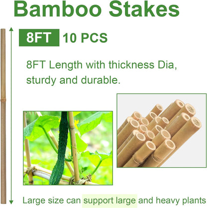 Bamboo Stakes 8FT, 8 Feet Natural Bamboo Plants Stakes, 1" D Thicker Heavy Duty Garden Stakes 10 Pack for Tomatoes, Beans, Flowers, Potted and More Climbing Plants