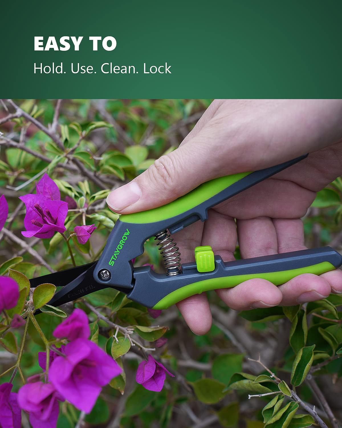 6.5" Straight Pruning Shears for Gardening, Sharp Plant Trimming Scissors for Precise Cuts, Stainless Steel Garden Scissors Bonsai Clippers (1-Pack)