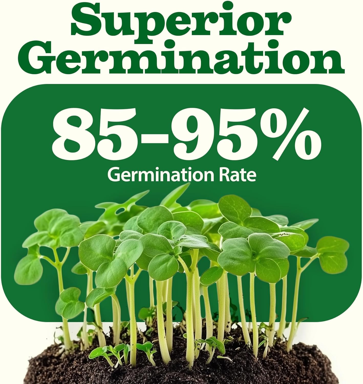 HOME GROWN 𝗨𝗦𝗔 𝗣𝗥𝗘𝗠𝗜𝗨𝗠 55 Vegetable Seeds Pack 28,000+ Non-GMO Heirloom Seeds for Planting Vegetables, Survival Seed Vault, Garden Kit for Spring Fall Winter, Gift for Gardeners
