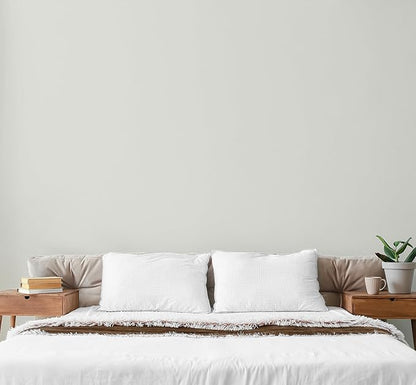 EVOLVE Paint & Primer: Environment-friendly, Low Sheen with One-coat Coverage for Interior & Exterior surfaces (Antique White, 5-Gallon)