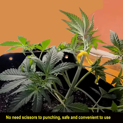 5 Gallon Fabric Pots with Holes 5 Packs with Handles Plant Grow Bags