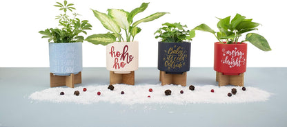 Ceramic Holiday Planter Pot with Wood Stand, Baby It's Cold Outside Design, Navy Blue & Gold, Holds 4" House Plant or Succulent, Festive Winter Christmas Home Decor