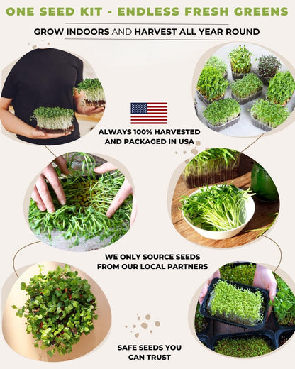15 Tactiko Rapid Growth Microgreens & Vegetable Seed Kit – Heirloom Non-GMO Grown in USA – for Everyday or Survival Use – Sprout Indoors or Grow Full-Size Veggies in Soil, Containers, or Hydroponics