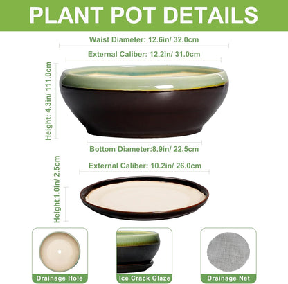 SQOWL Bonsai Pots 12 Inch - Large Ceramic Pots for Succulents with Drainage Hole and Saucer, Shallow Planter for Indoor Plants Outdoor, Round Planter Bowl, Office Decor, Gifts for Women, Green-Brown