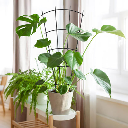 4 Pack 23'' Indoor Plant Trellis for Potted Plants Climbing, Outdoor Metal Garden Trellis Houseplants Flowers Vine Ivy,Fan Shape, Black