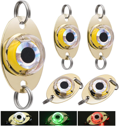 LED Underwater Fishing Lures，LED Lighted Bait Flasher，Deep Drop Fishing Lures，Fish Eye Attractive Light Bait Lure Lamp 5PCS