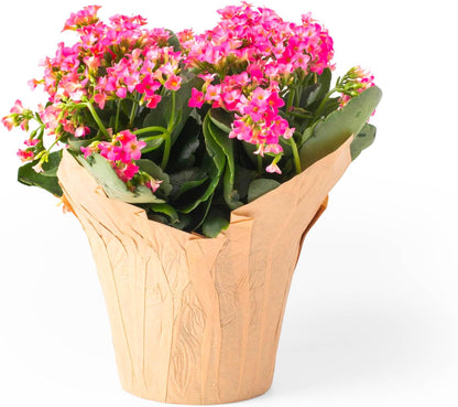 4.5” Plant Pot Covers, Decorative Plant Sleeve for Indoor House Plants, Reusable and Gift-Ready for Potted Flowers, Natural Kraft, Pack of 5