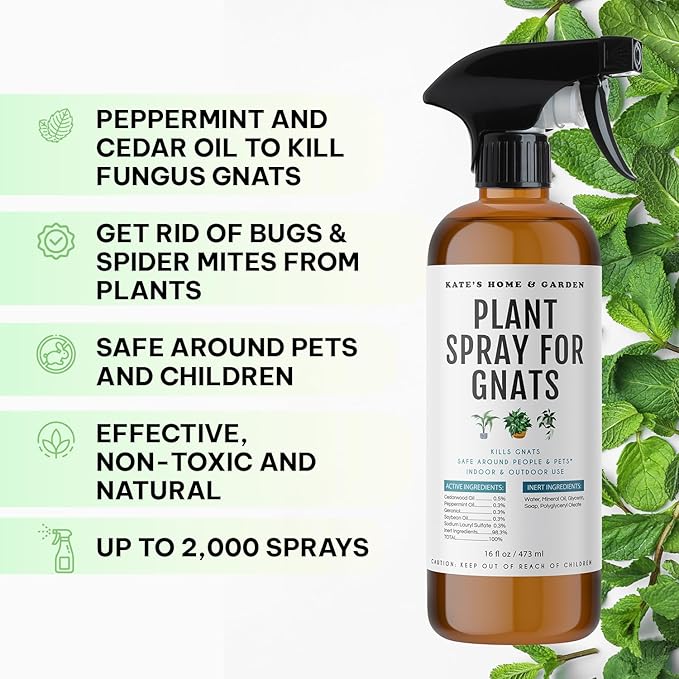 Kate's Home & Garden Plant Spray for Insects & Getting Rid of Gnats with 12 Sticky Traps. Fungus Gnat Killer & Bug Spray for Indoor Plants (16oz, Cedarwood, Pet Safe, Non Toxic)