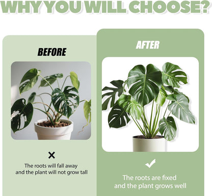 Monstera Plant Support, 16Pcs Plant Stem Support for Indoor Plants - Heavy Sturdy Climbing Plant Stakes for Potted Vines, Monstera, Flowers Green