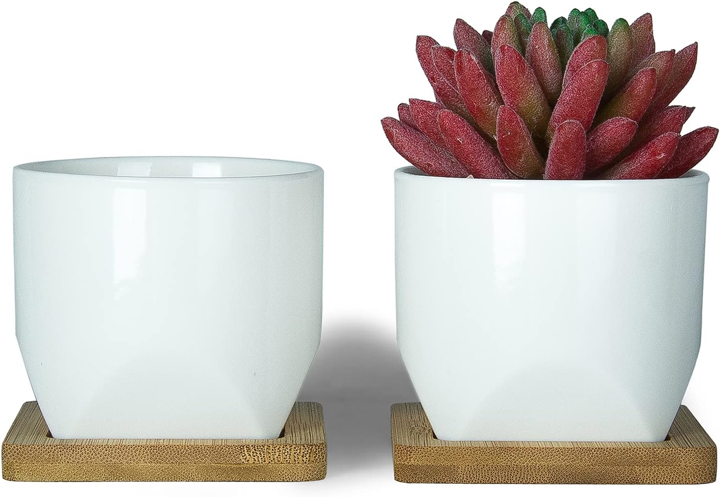 ARTKETTY Succulent Pots - 3 Inch Small Succulent Planter Pot with Drainage Trays Set of 6, Ceramic Planters for Indoor Plants Cactus Flower Plant for Home Office