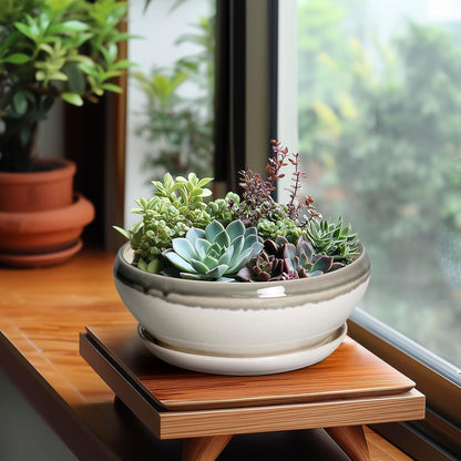 SQOWL Bonsai Tree Pots - 8 Inch Ceramic Succulent Pots with Drainage Hole and Saucer, Shallow Round Planter Indoor Outdoor, Ceramic Bonsai Pot, Planter Bowl, House Decor, Plant Lover Gift, Gray-Beige
