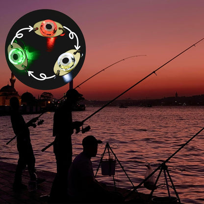 LED Underwater Fishing Lures，LED Lighted Bait Flasher，Deep Drop Fishing Lures，Fish Eye Attractive Light Bait Lure Lamp 5PCS