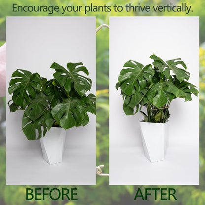 5PCS Monstera Plant Stem Support with Leaf Holders - Innovative Cactus Stake for Indoor Plants - Unique Plant Support Kit for Healthy Growth - Ideal for Gardening Enthusiasts