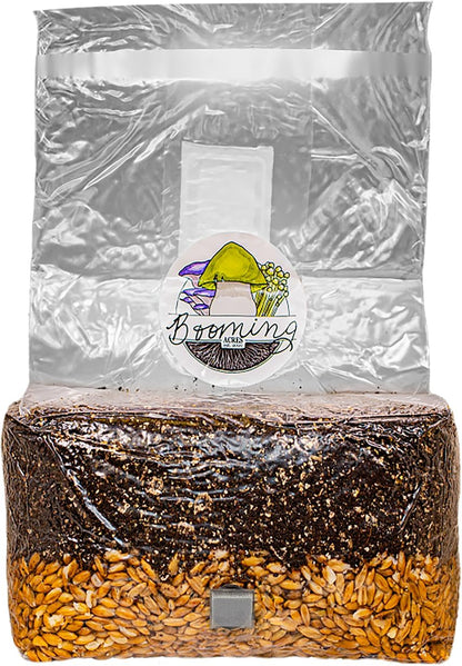 | The Magical 5lb All-in-One Mushroom Grow Bag | Mushroom Grow Kit | Harvest Your own Happiness | Discover The Magic of Growing Mushrooms - 5lb Grow Bag Mushroom Starter Kit