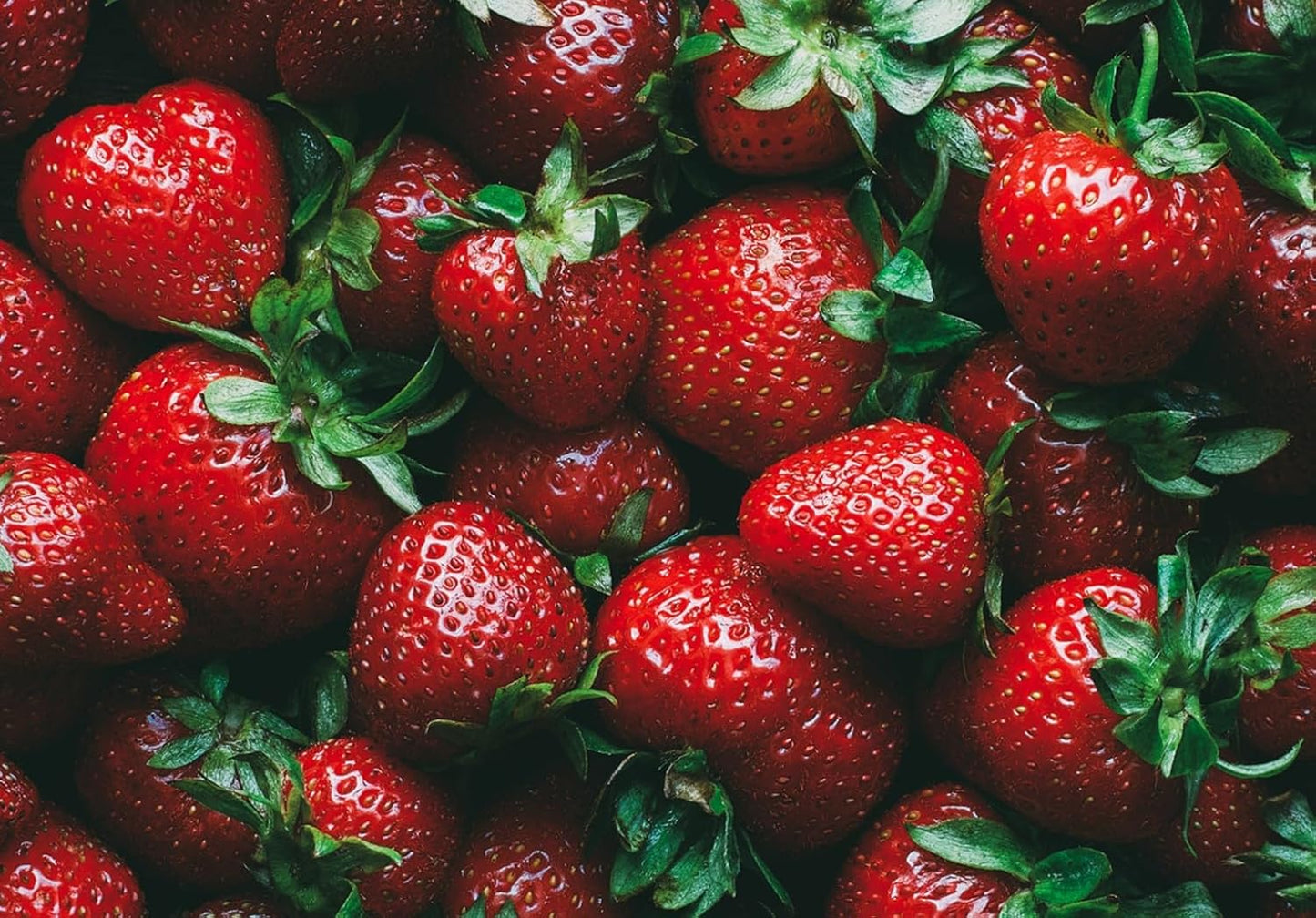 Ruby Royale Strawberry Plants - Grow Giant Strawberries - Bare Root Plants (20 Plants)