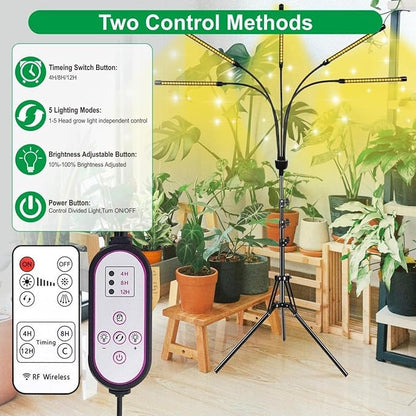 5-Head Adjustable LED Lights, Full Spectrum Grow Lamp with Timer, Warm White Light for Indoor Plants