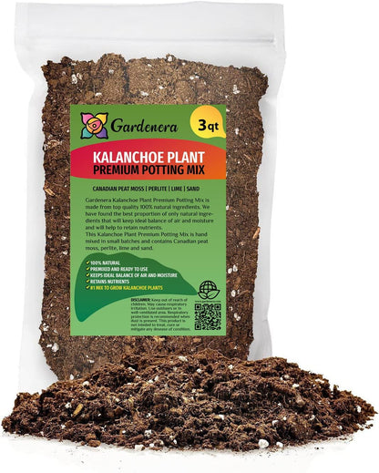 Gardenera Kalanchoe Plant Premium Potting Mix - Maintain Ideal Air and Moisture Balance for Success - 3 Quart