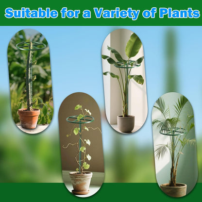 1 Pcs Adjustable Round Dragon Fruit Trellis,Durable Metal Plant Trellis Outdoor Climbing Plants Support Frame for Vertical Gardening Trees Cactus Green