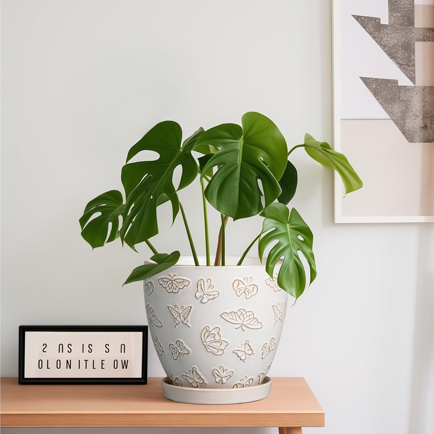 Ceramic Planter Pot - 6.8 Inch Plant Pot with Drainage Hole and Saucer, Succulent Round Flower Pot for Plants Indoor Outdoor, White