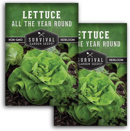 All The Year Round Lettuce Seed for Planting - 2 Packets with Instructions to Plant & Grow Adaptable Salad Greens in Your Home Vegetable Garden - Non-GMO Heirloom Variety - Survival Garden Seeds