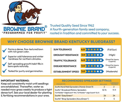 Brownie Brand Kentucky Bluegrass Seed – Premium Lawn Seed for Overseeding, Repairing Bare Spots, and Growing Thick Cool-Season Bluegrass Grass Turf