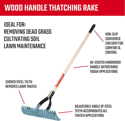CRAFTSMAN 2-Piece Raking Set with Lawn & Thatching Rakes, Wood Handles with Cushion Grips, for Leaves, Dethatching, Dead Grass, Cultivating