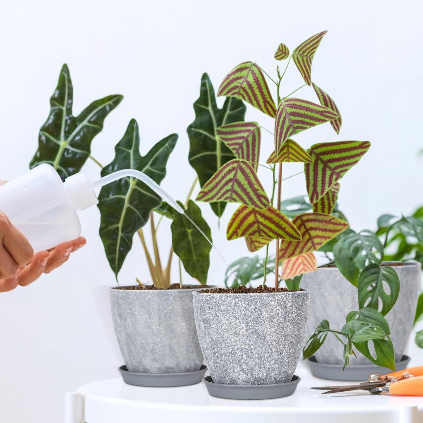 Set of 8 Plastic Planter, 10/9/8/7.5/6.5/5.7/5/4inch Plastic Planter, Flower Pot Indoor Decorative Large Plant Pot, Plant Pots Indoor with Drainage and Saucer for All House Plants (Set of 8)