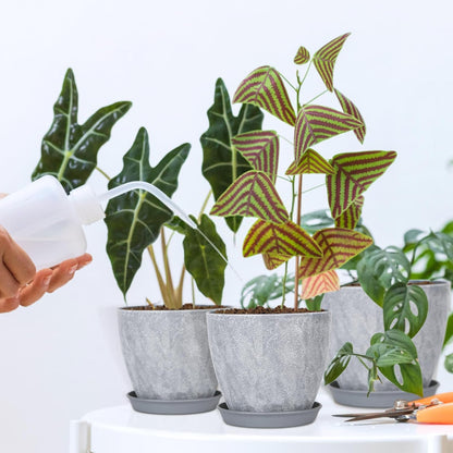 Set of 8 Plastic Planter, 10/9/8/7.5/6.5/5.7/5/4inch Plastic Planter, Flower Pot Indoor Decorative Large Plant Pot, Plant Pots Indoor with Drainage and Saucer for All House Plants (Set of 8)