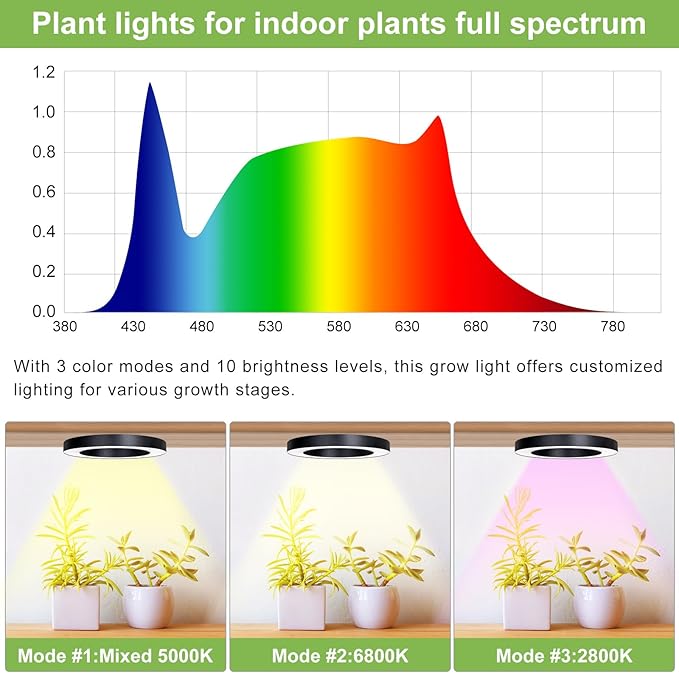 Full Spectrum Grow Light for Indoor Plants, 144 LEDs Halo Plant Light with Auto On/Off Timer (4/8/12H), 10-Level Brightness, 3 Lighting Modes, for Small Plants & Seedlings (Black, Dual Head)