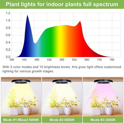 Full Spectrum Grow Light for Indoor Plants, 144 LEDs Halo Plant Light with Auto On/Off Timer (4/8/12H), 10-Level Brightness, 3 Lighting Modes, for Small Plants & Seedlings (Black, Dual Head)