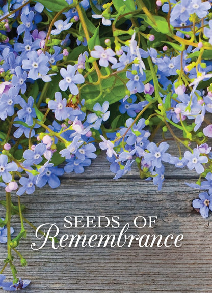 Bentley Memorial Blue Flax Seeds of Remembrance, Non-GMO, Non-Coated Packets, Funeral Keepsake, Linum Lewisii, 25 Pack