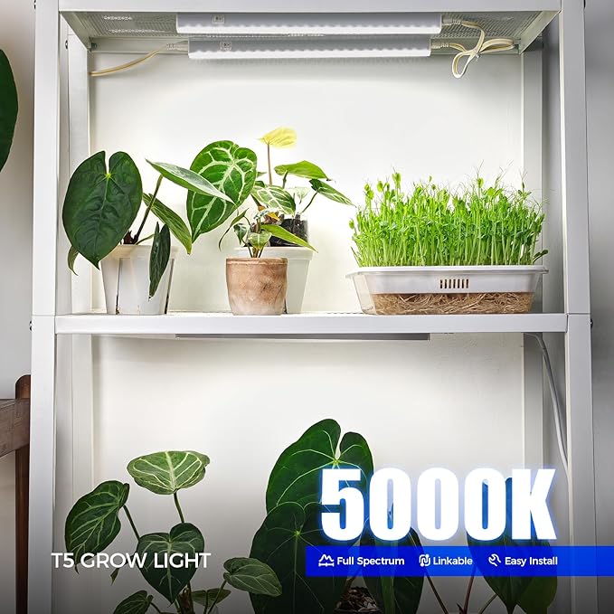 Barrina Grow Lights for Indoor Plants, 1ft Plant Lights for Indoor Growing, 5000K White Full Spectrum Grow Light, Individual Switch, T5 Grow Light Strip, Plug and Play, 8-Pack