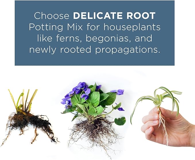 Delicate Root Organic Potting Mix & Soil Outdoor Fertilizer for Houseplants - Organic Mix of Coconut Chips, Coir, Horticultural Charcoal - 1 Gallon